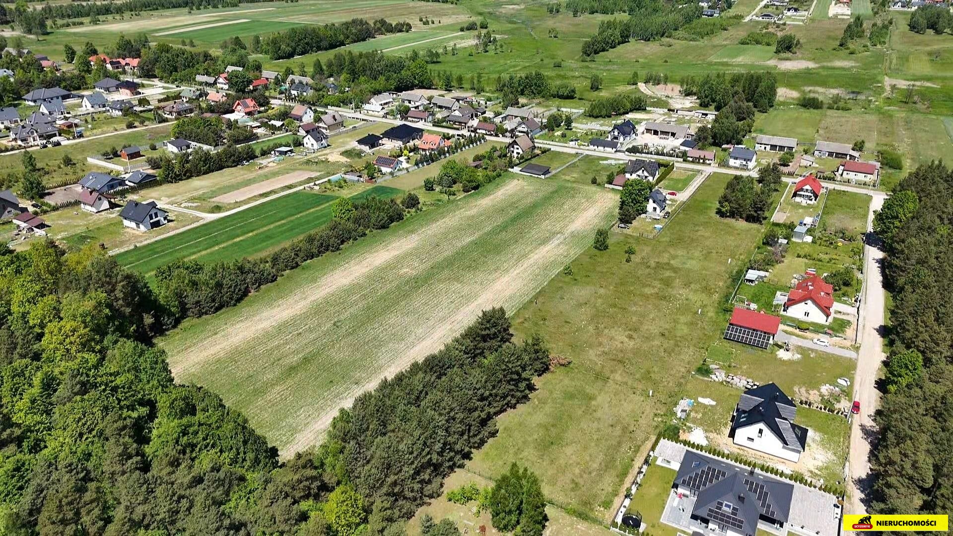 Zdjęcie 10