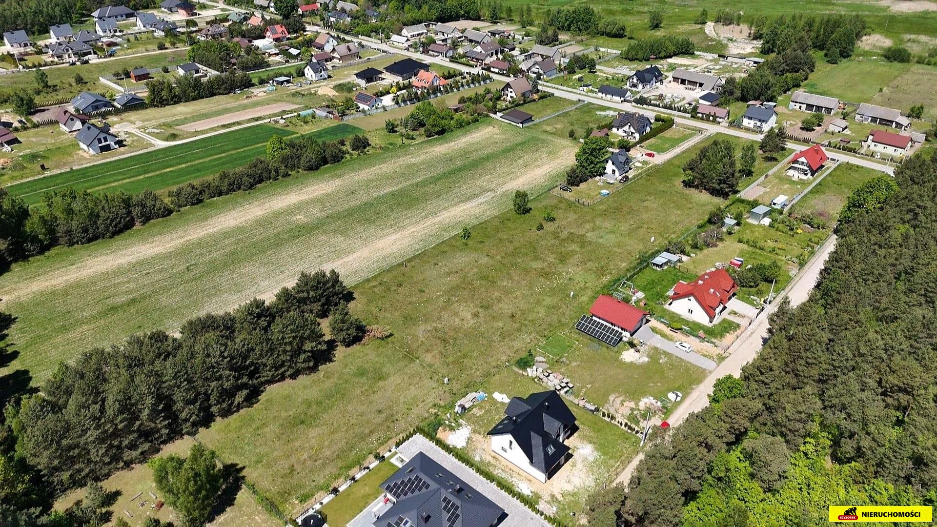 Zdjęcie 12