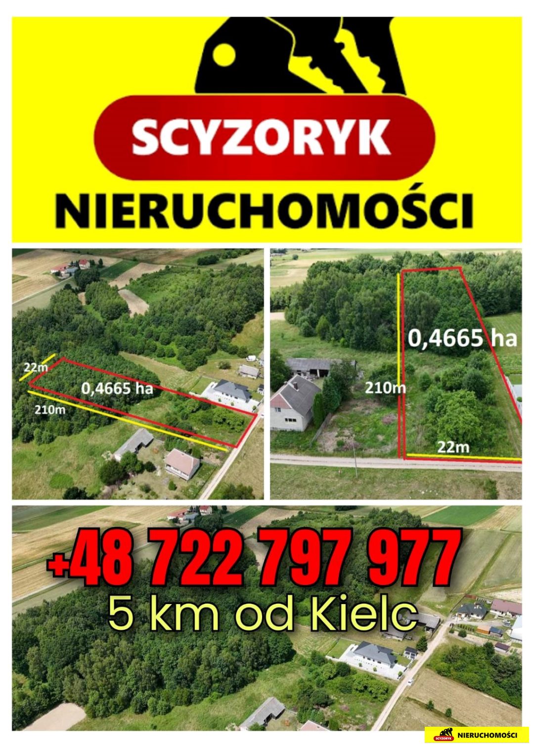 Zdjęcie 3