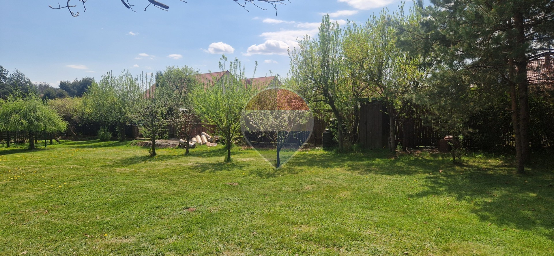 Zdjęcie 6