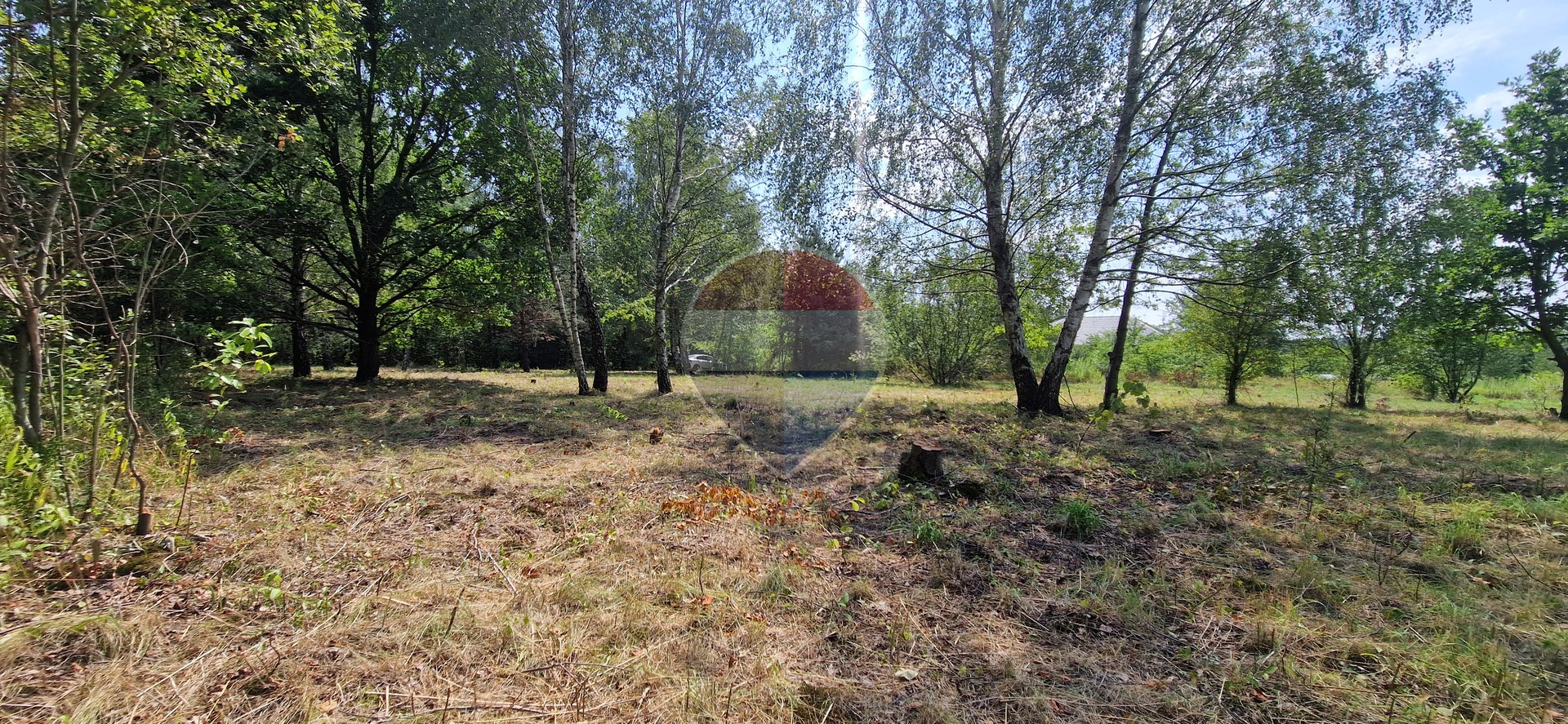 Działka z potencjałem budowlanym 1426 m² - Bielicha k. Radomia
