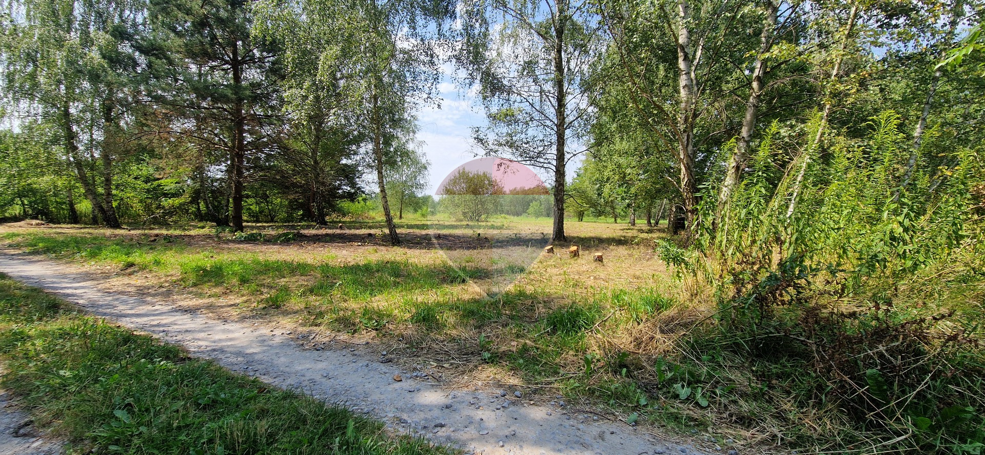 Zdjęcie 11