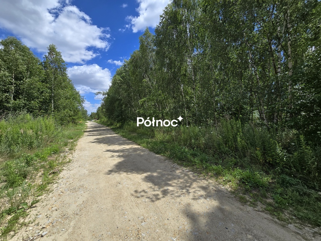 Zdjęcie 2