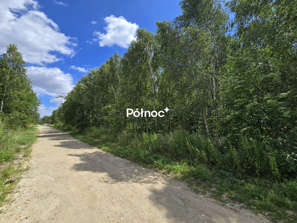 Zdjęcie 3