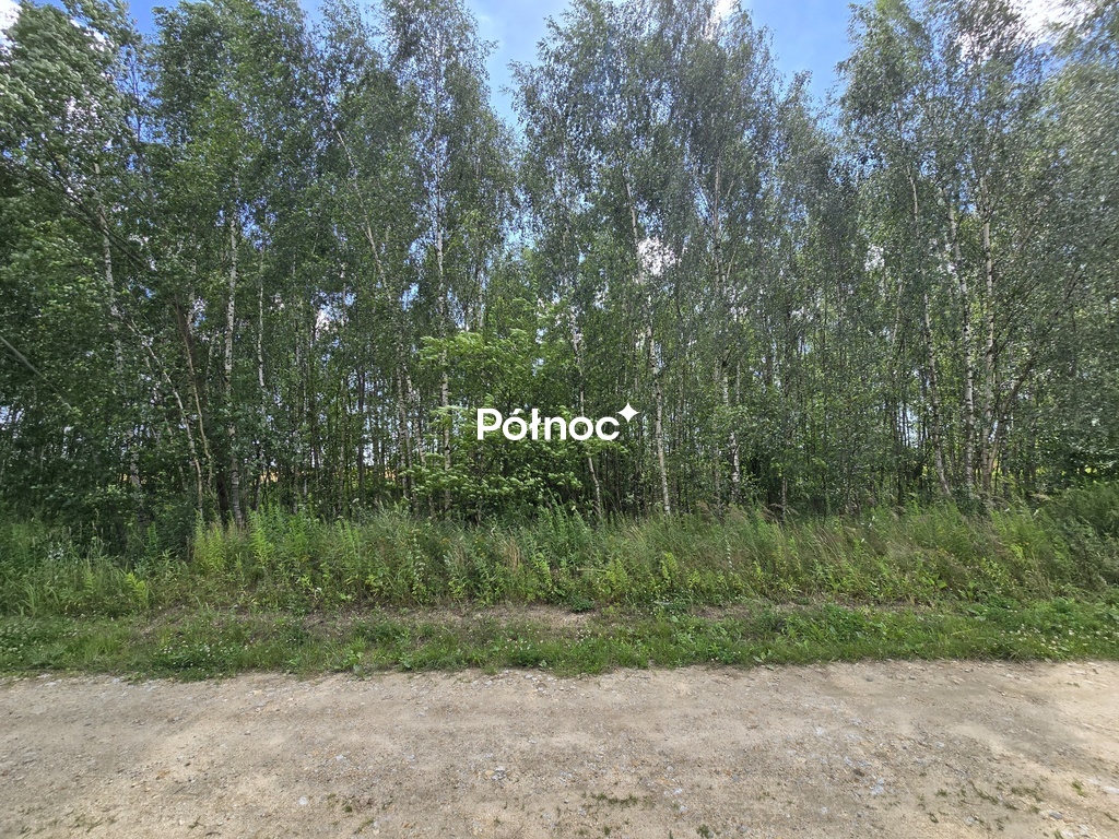 Zdjęcie 4