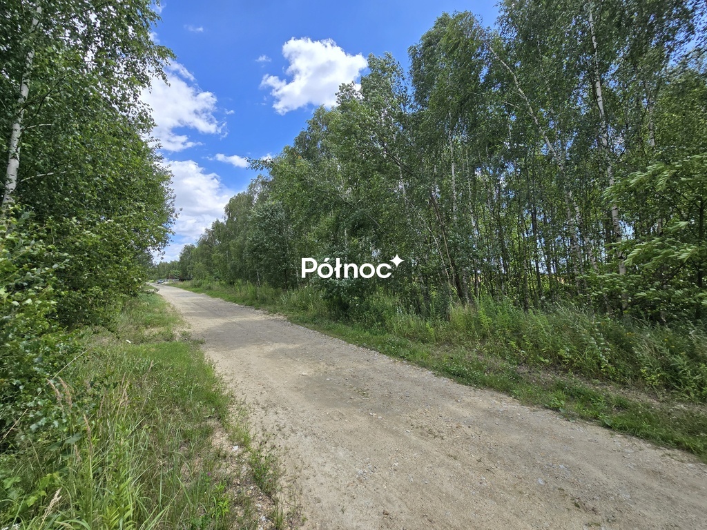 Zdjęcie 5