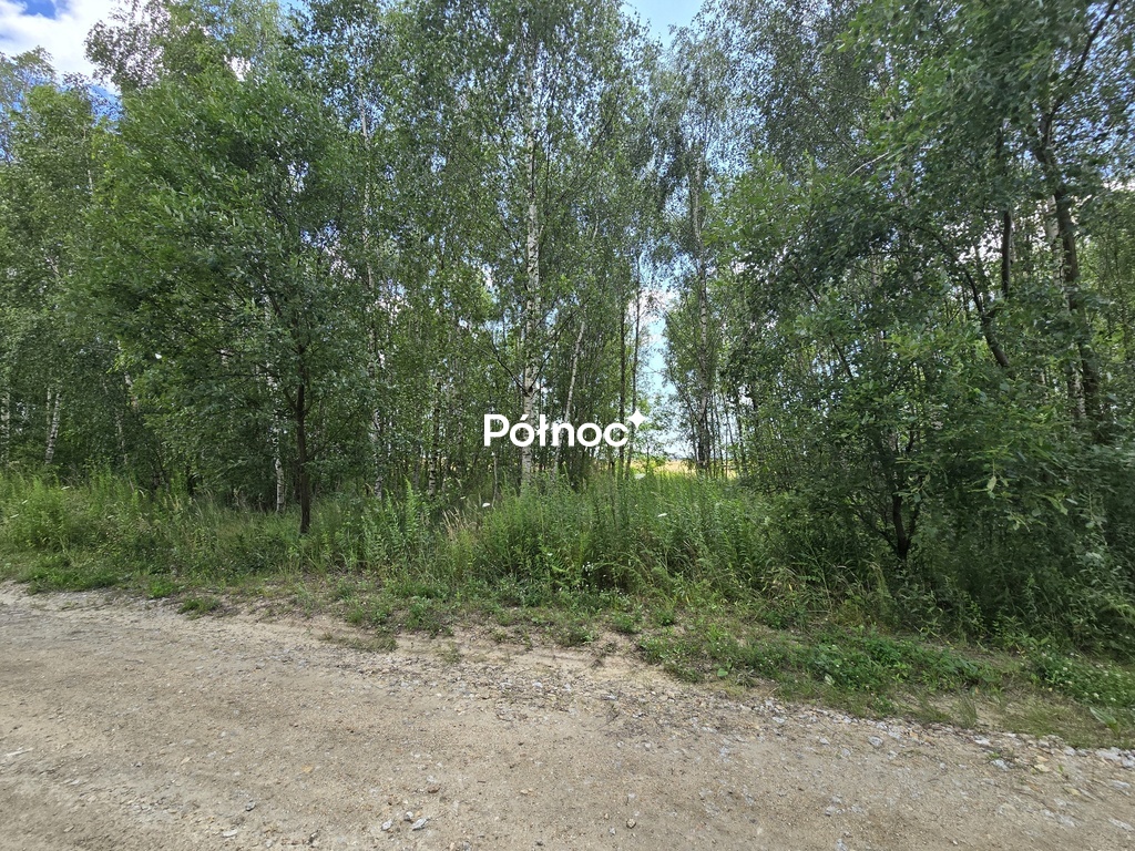 Zdjęcie 6