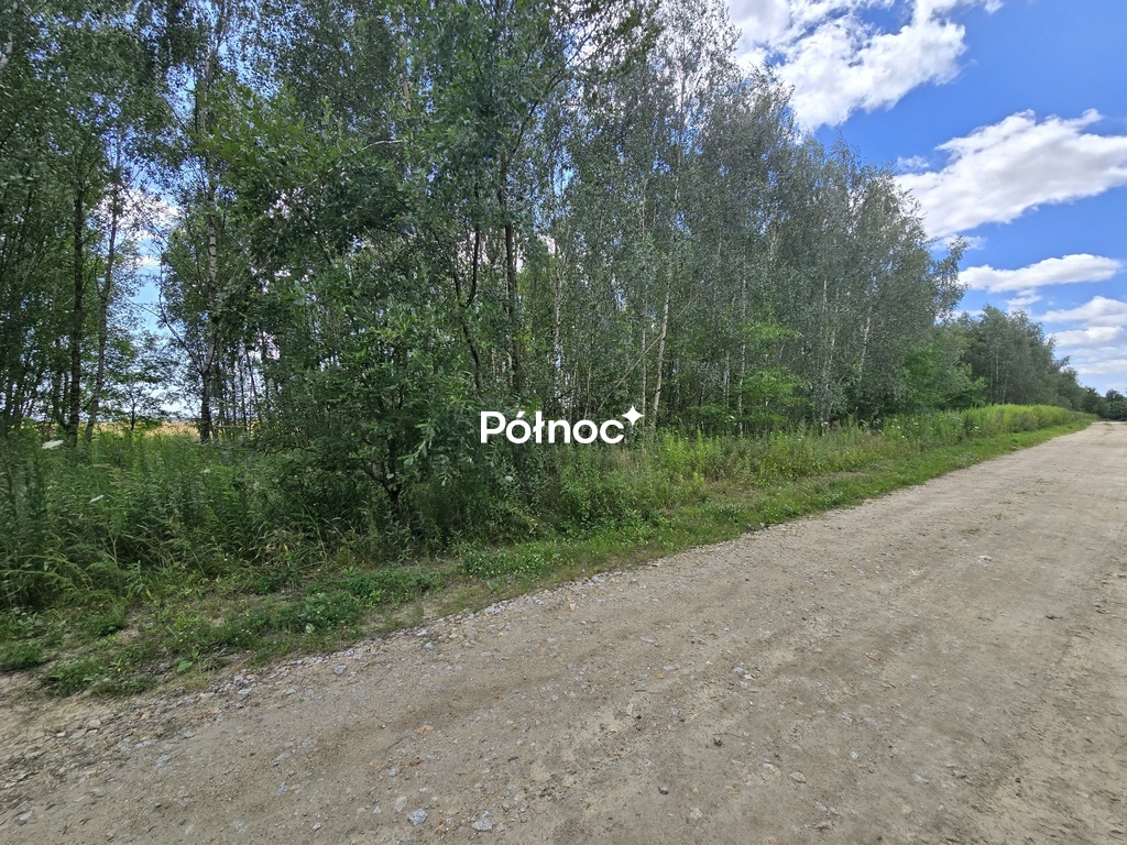 Zdjęcie 7
