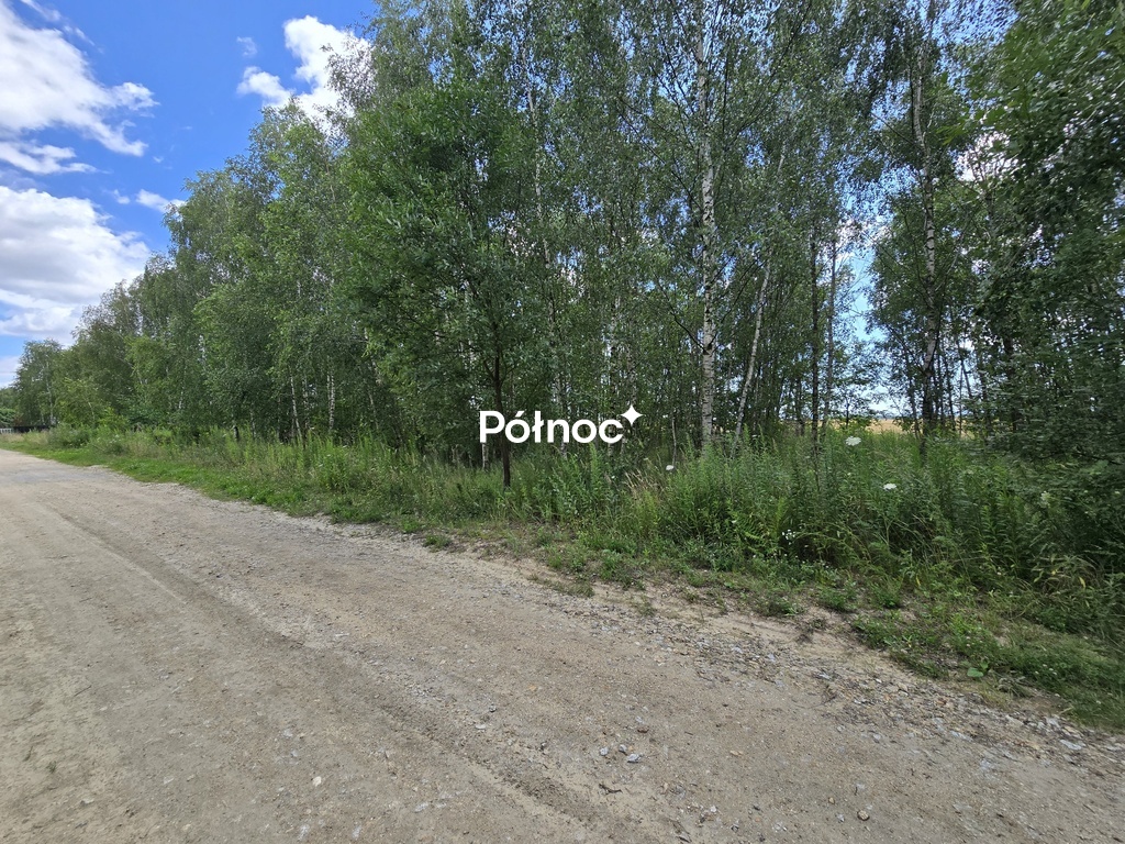 Zdjęcie 8