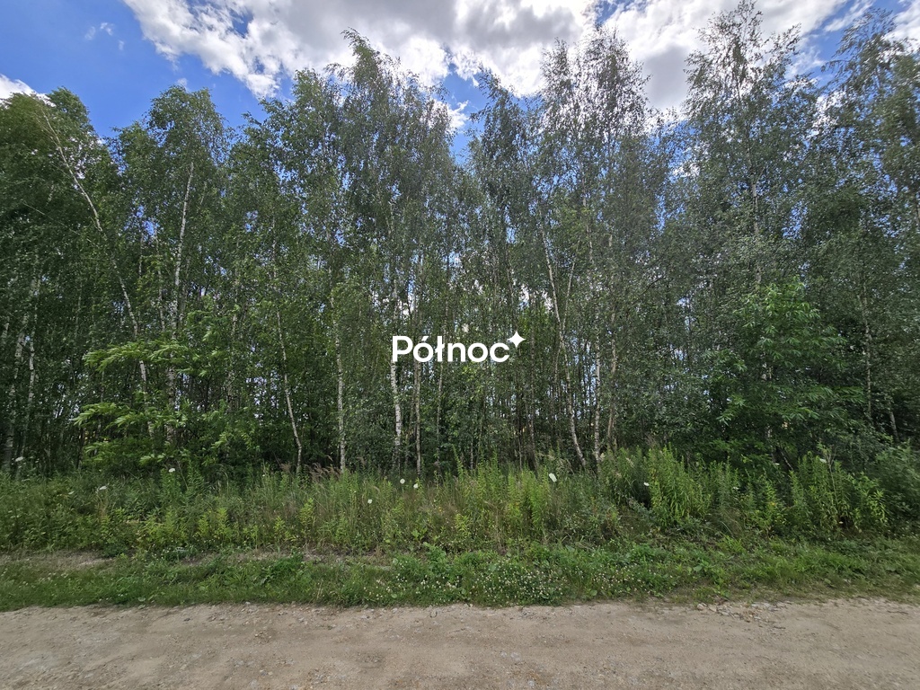 Zdjęcie 9