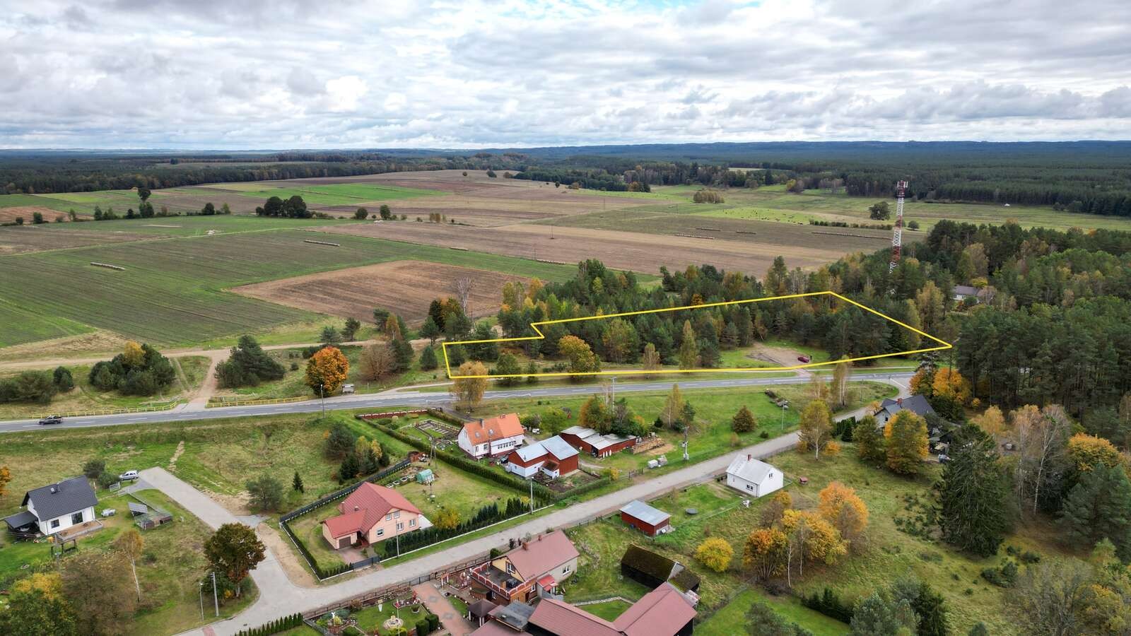 Zdjęcie 3