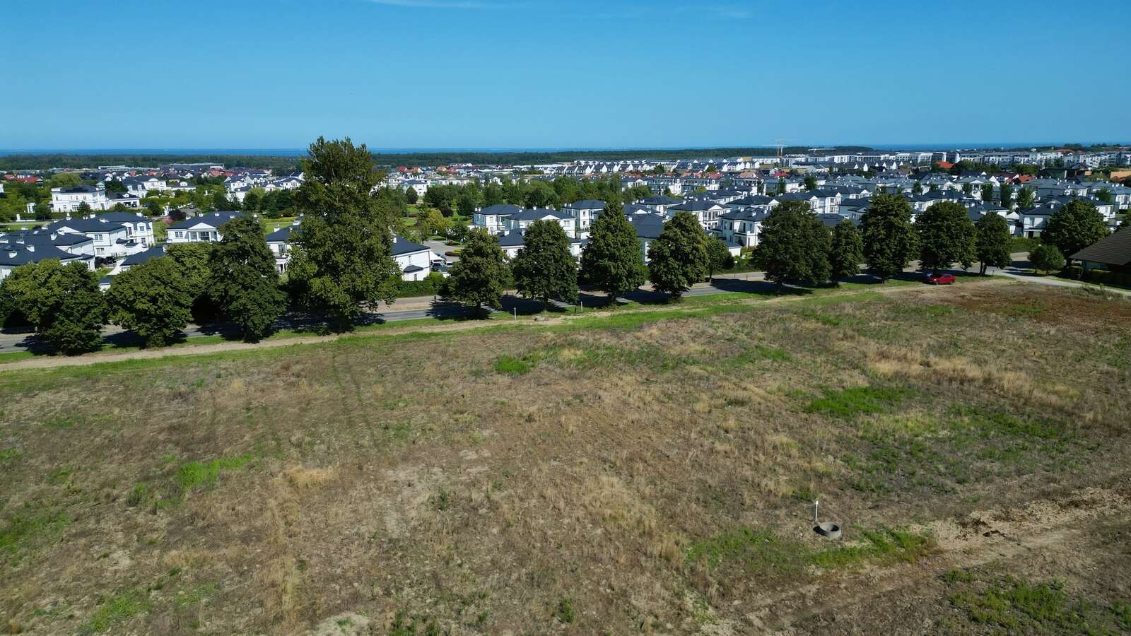 Zdjęcie 8