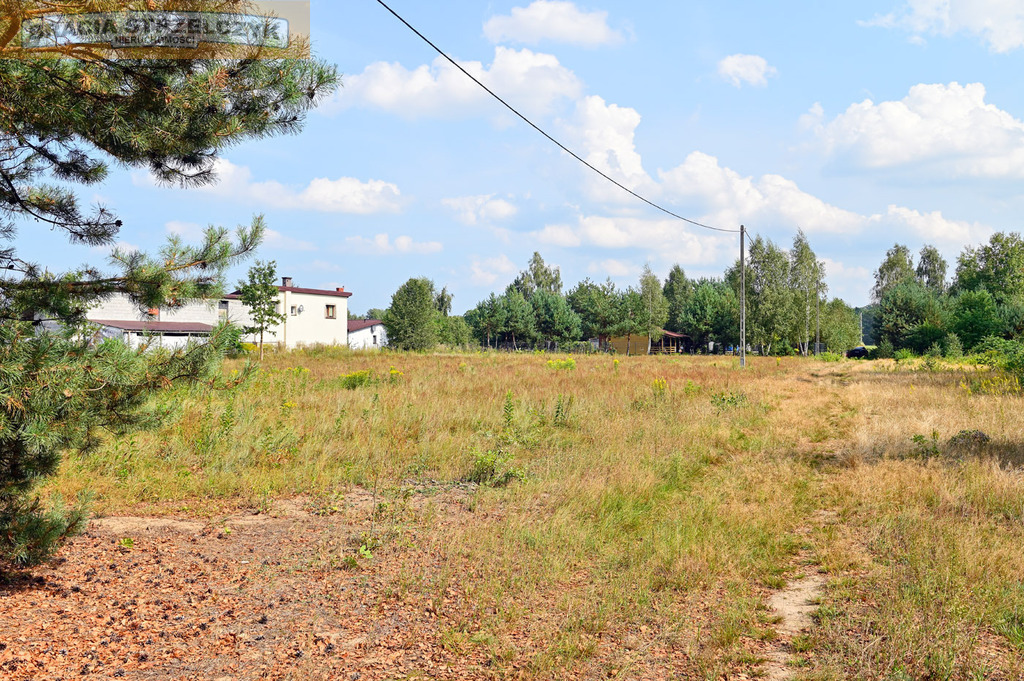 Zdjęcie 11