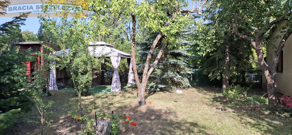 Zdjęcie 2