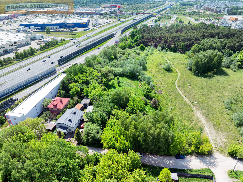 Zdjęcie 10