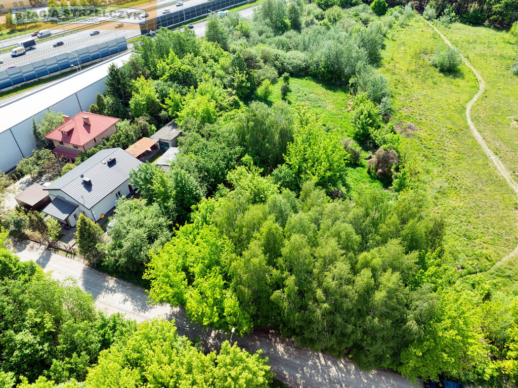 Zdjęcie 12
