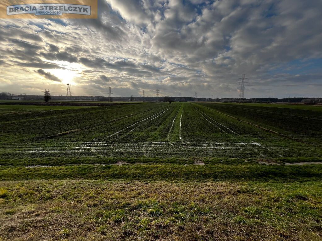 Działka ROLNA – ŚWIERŻE GÓRNE