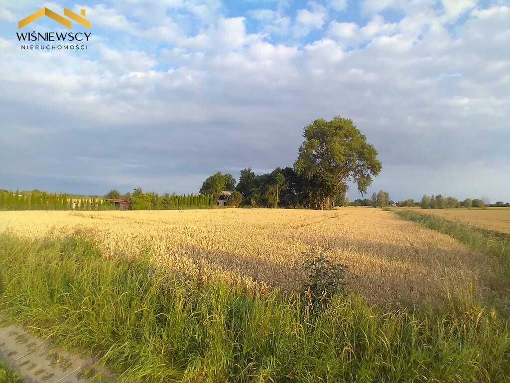 Zdjęcie 7