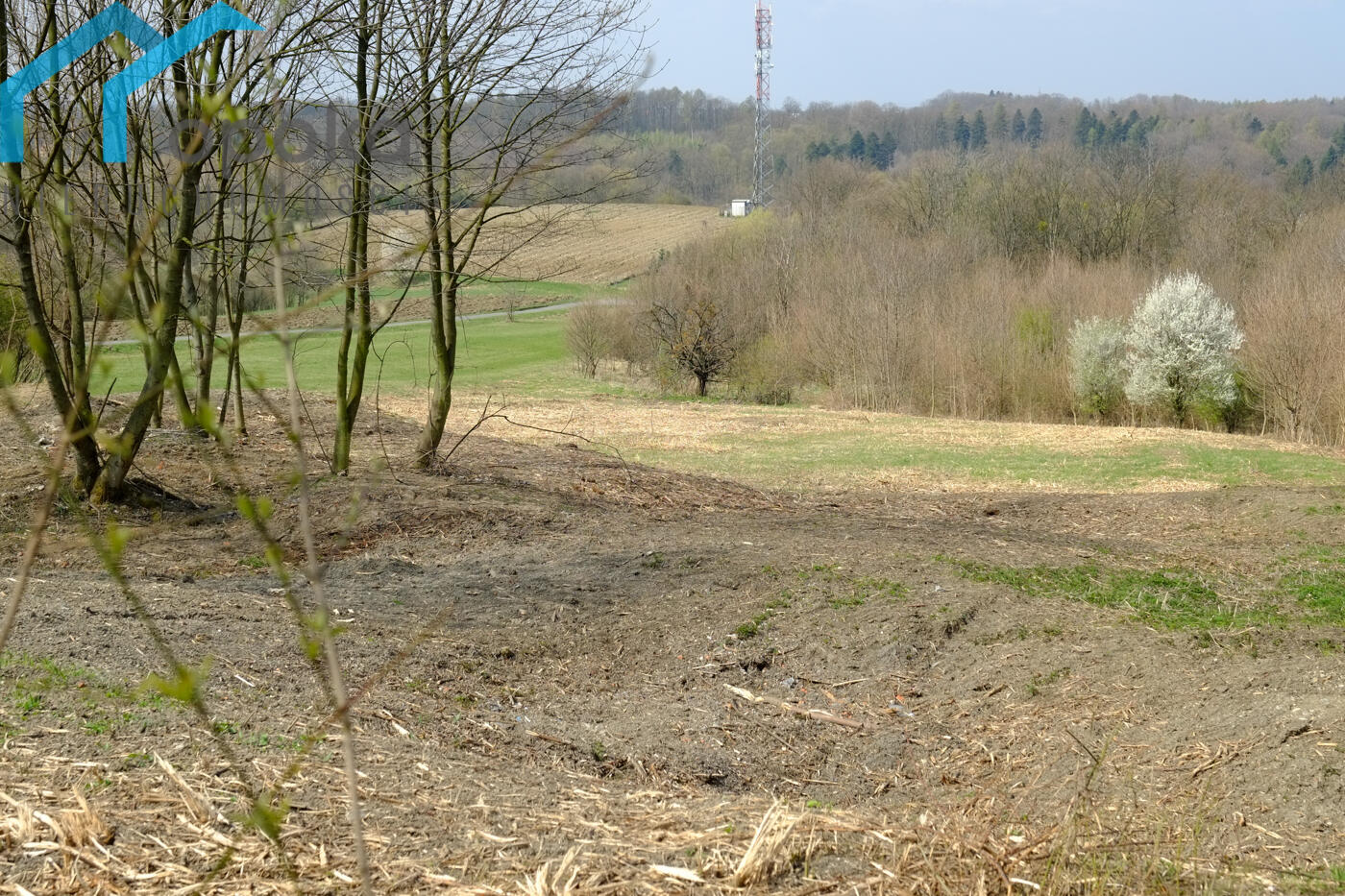 Zdjęcie 11