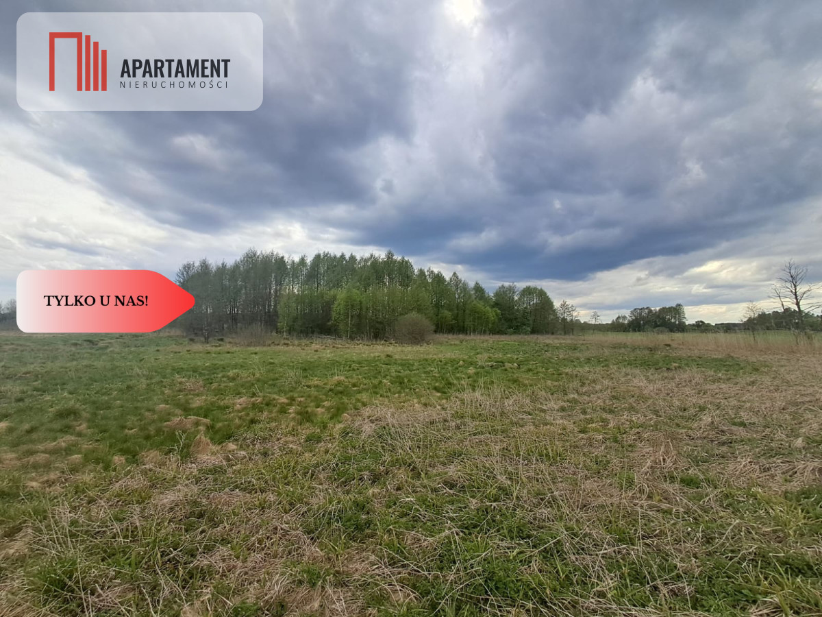 Działka 1,33 ha Nad rzeką WIERZYCA-LIPY-STRUGA!