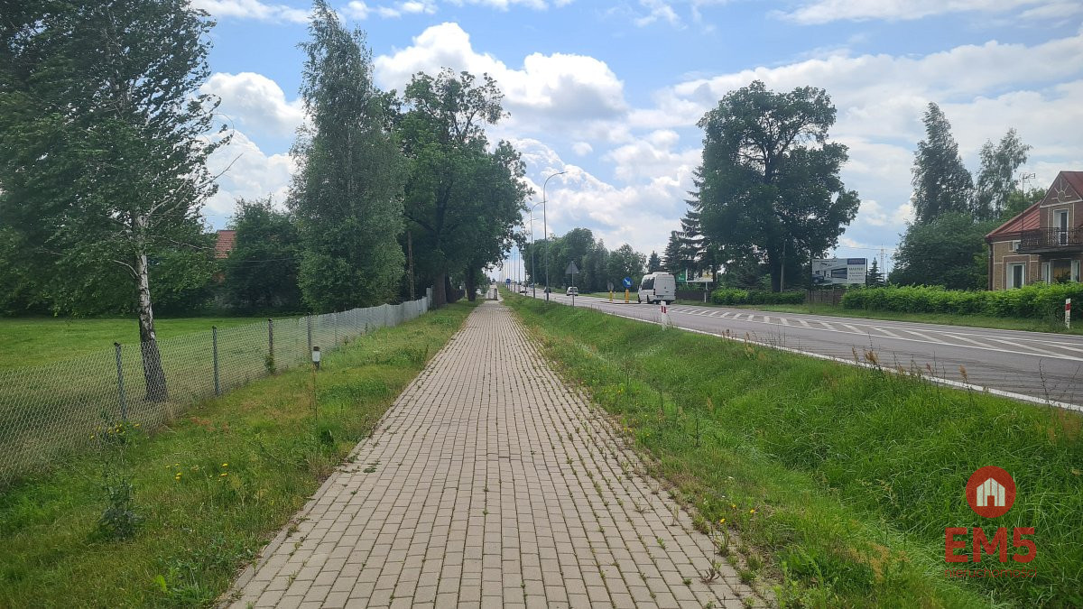 Zdjęcie 2