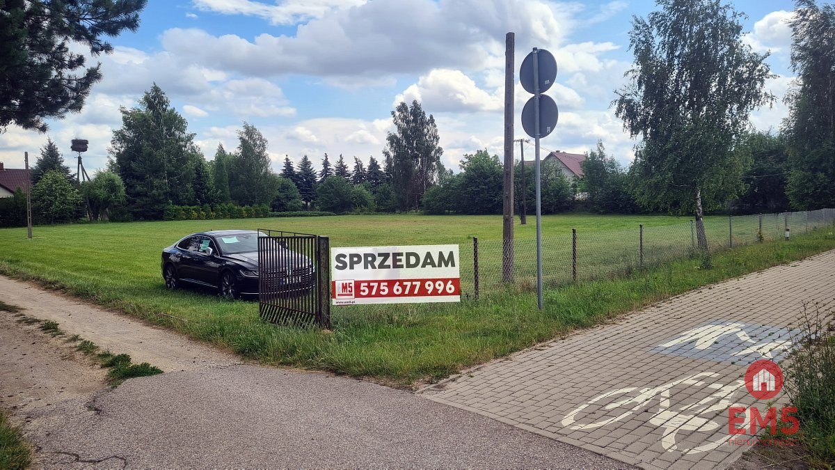 Zdjęcie 3