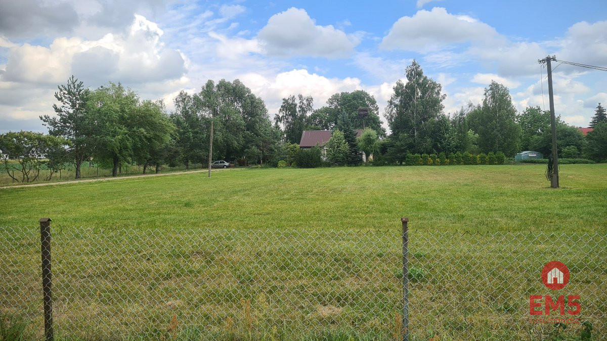 Zdjęcie 5