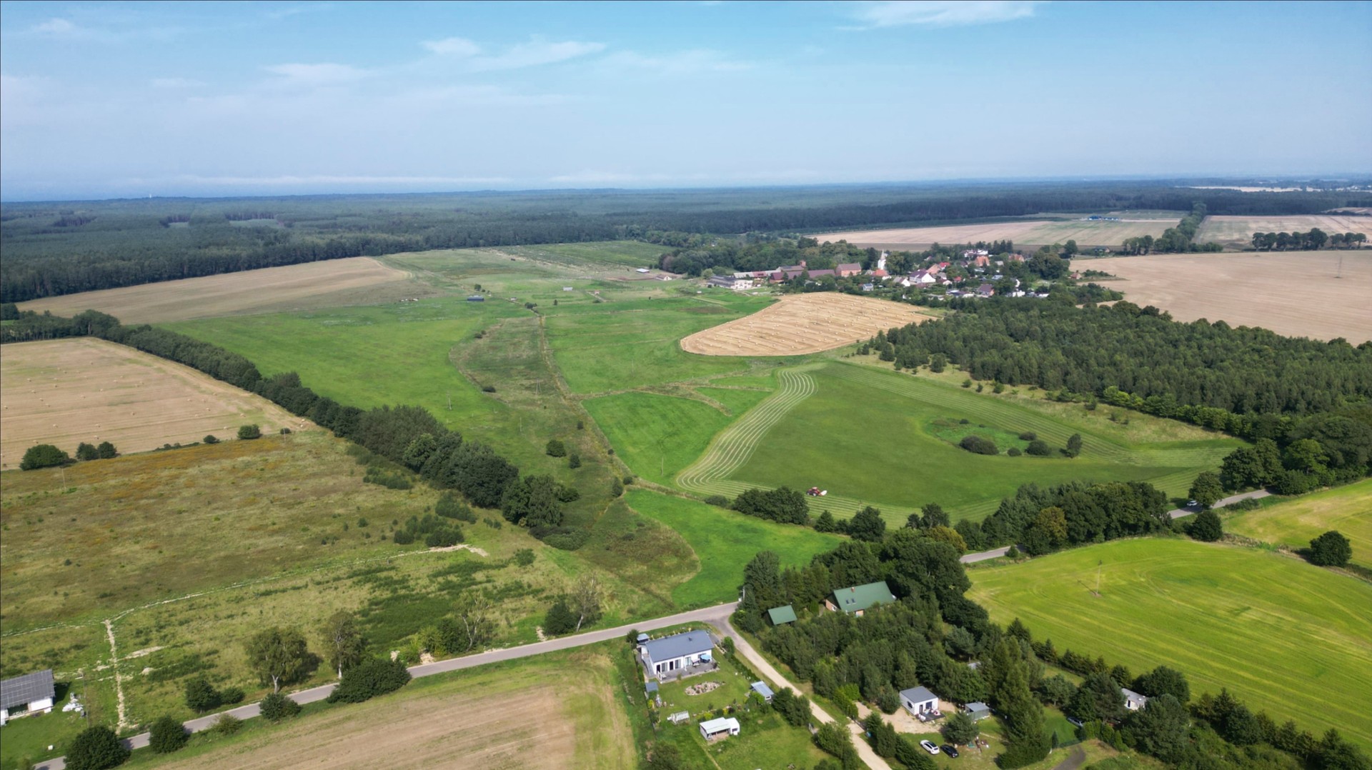 Zdjęcie 12