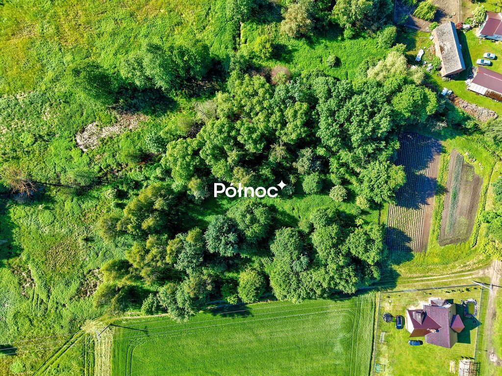 Działka budowlana 5 000 m², Skoroszów