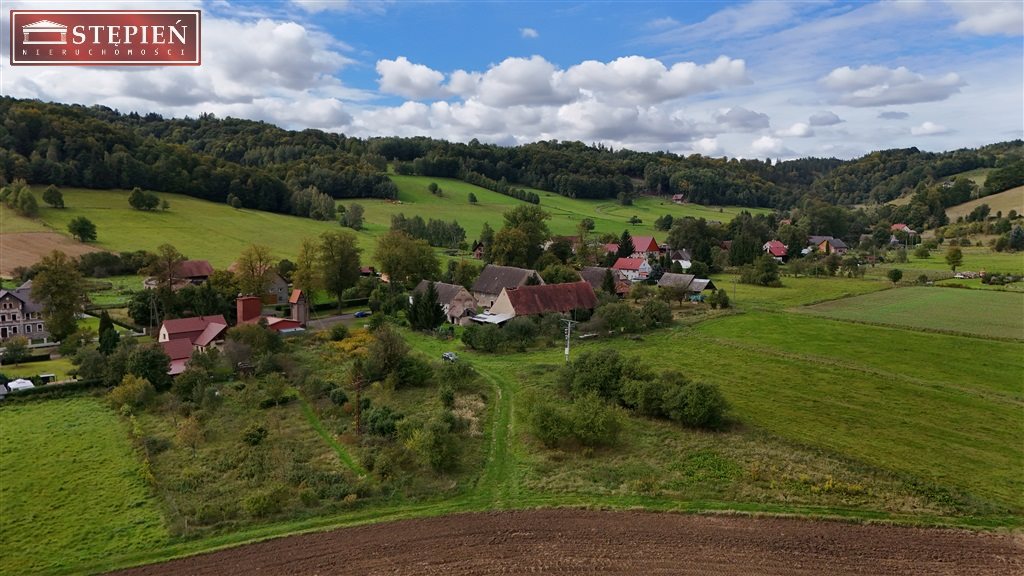 Zdjęcie 10