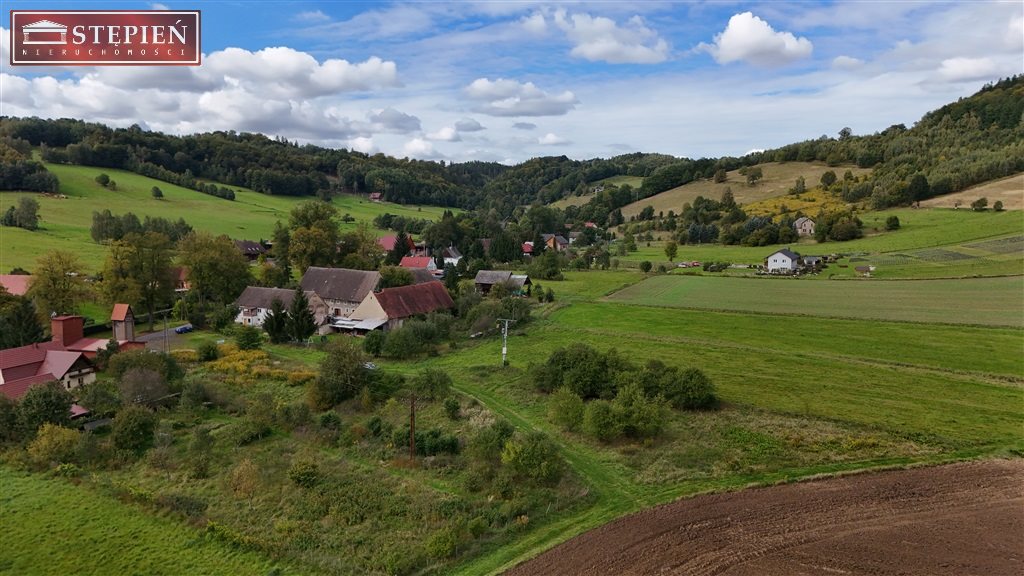 Zdjęcie 11