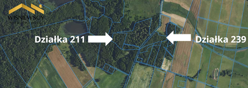 Las 1,67 ha – Dobry, gm. Godkowo