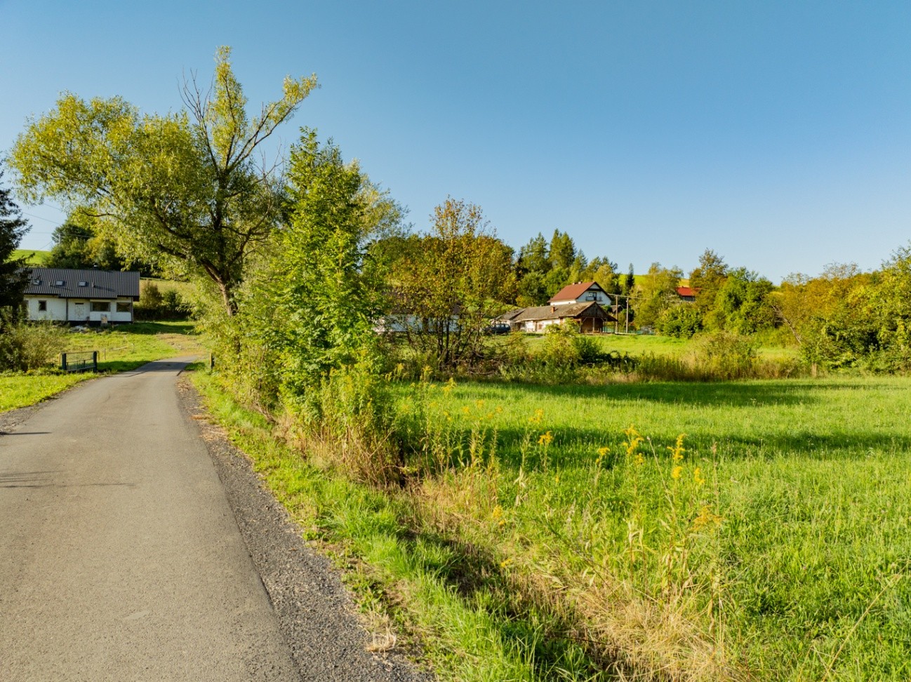 Zdjęcie 14