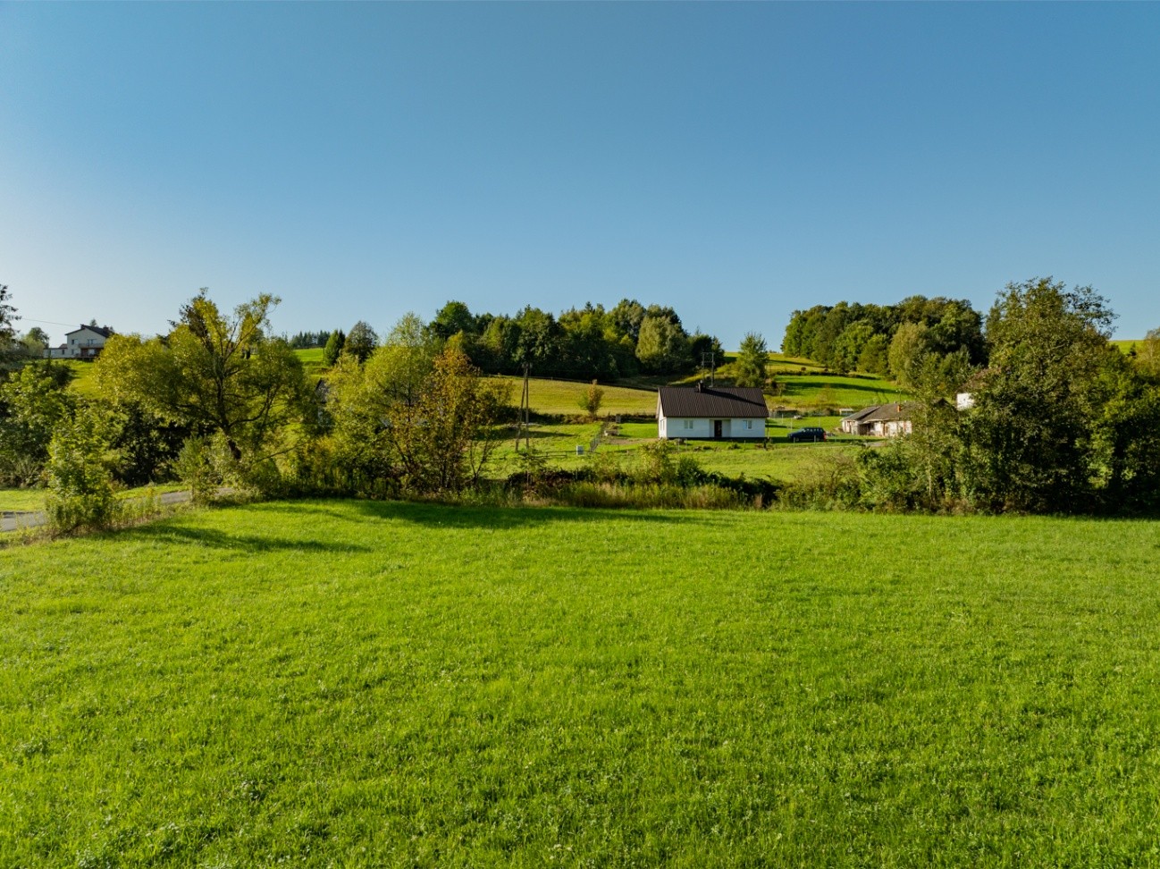Zdjęcie 16