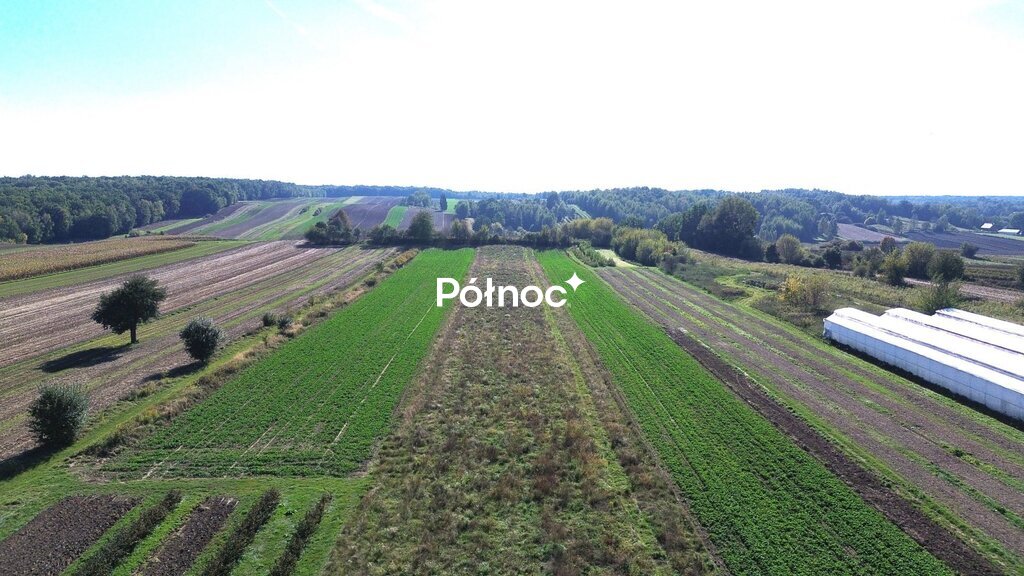 Działka budowlana 7 005 m², Nałęczów