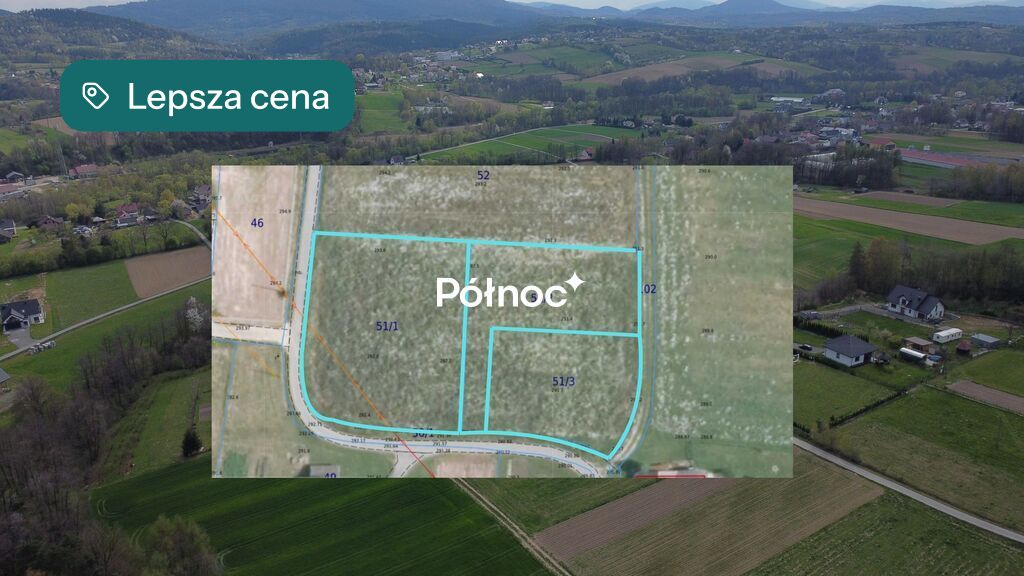 Zdjęcie 3