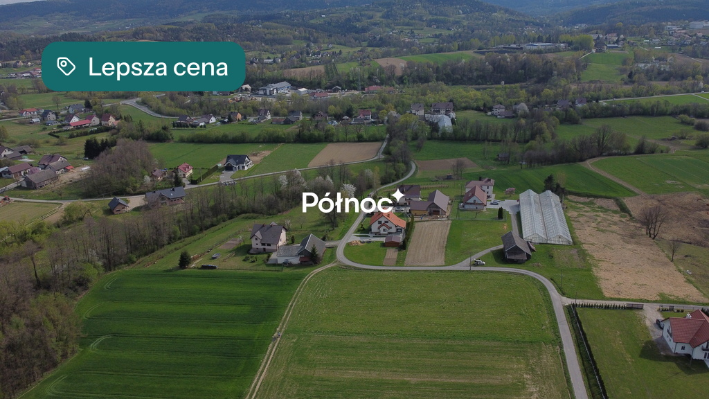 Zdjęcie 4