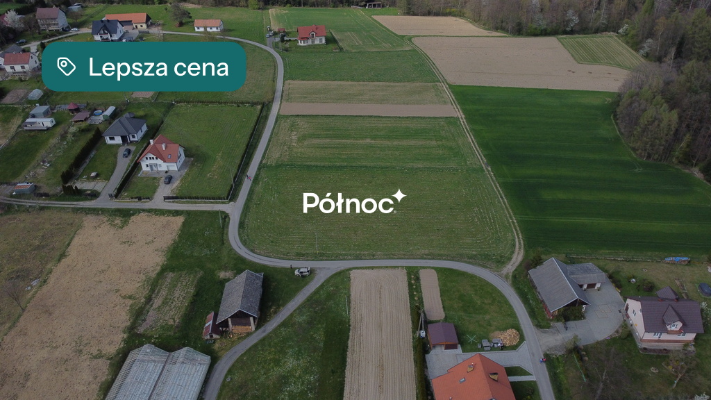 Zdjęcie 5