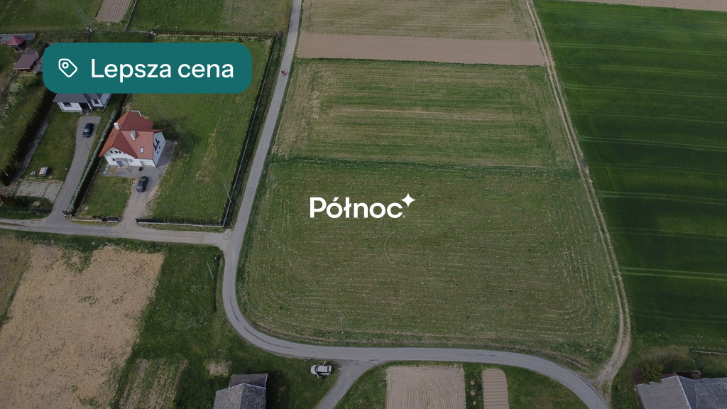 Zdjęcie 6