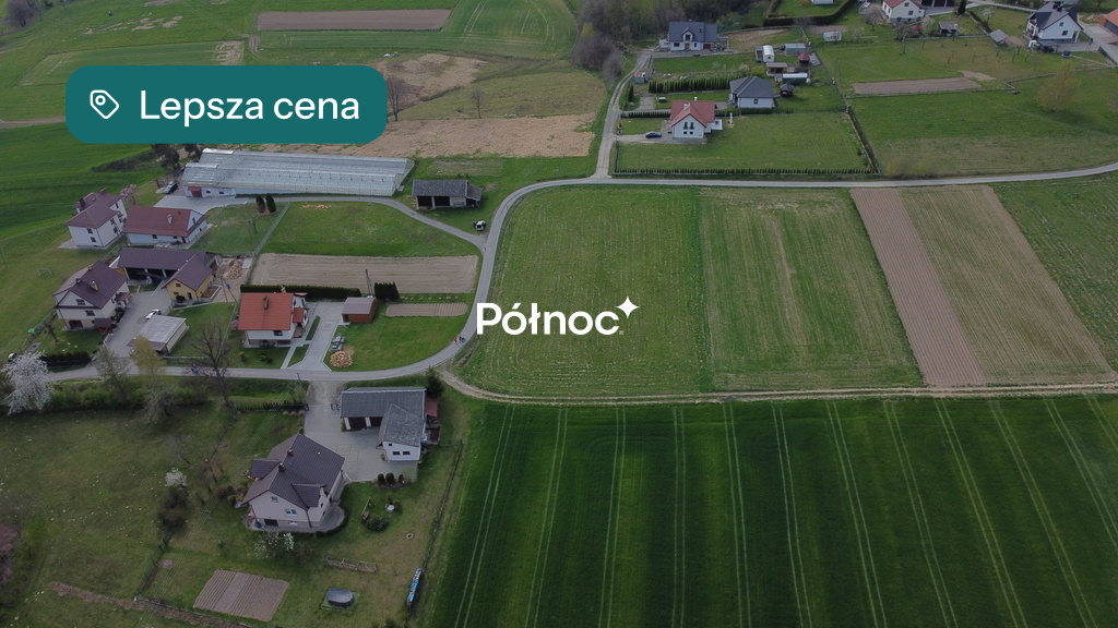 Zdjęcie 7