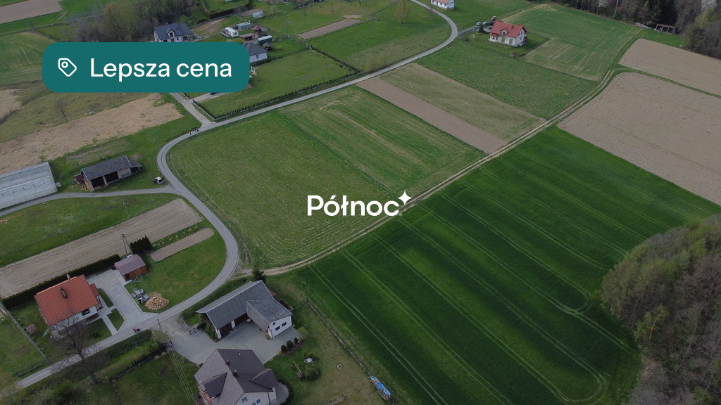 Zdjęcie 8