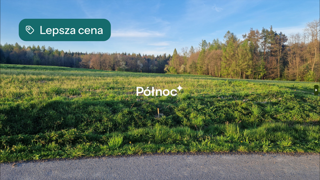 Zdjęcie 9