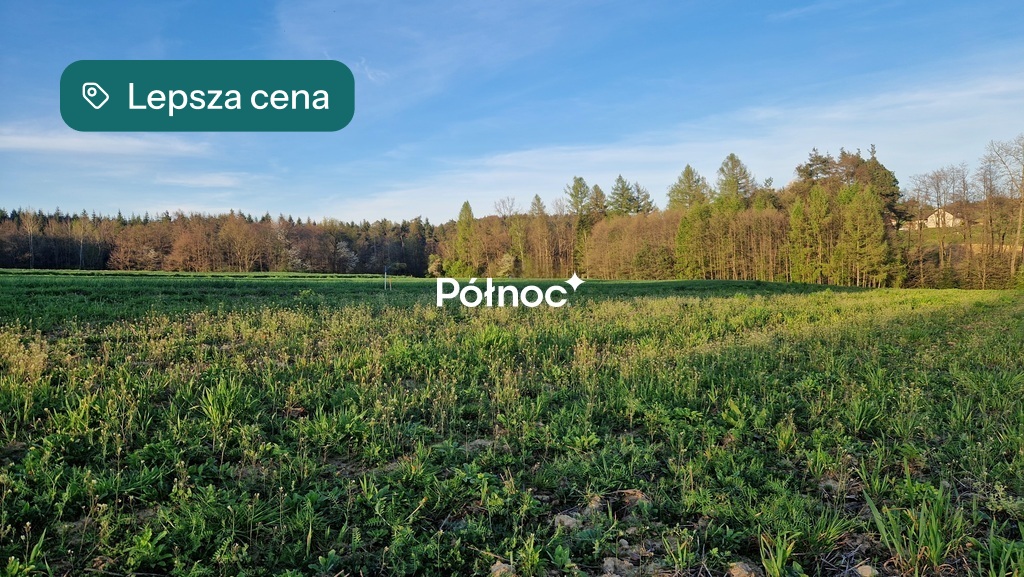 Zdjęcie 10