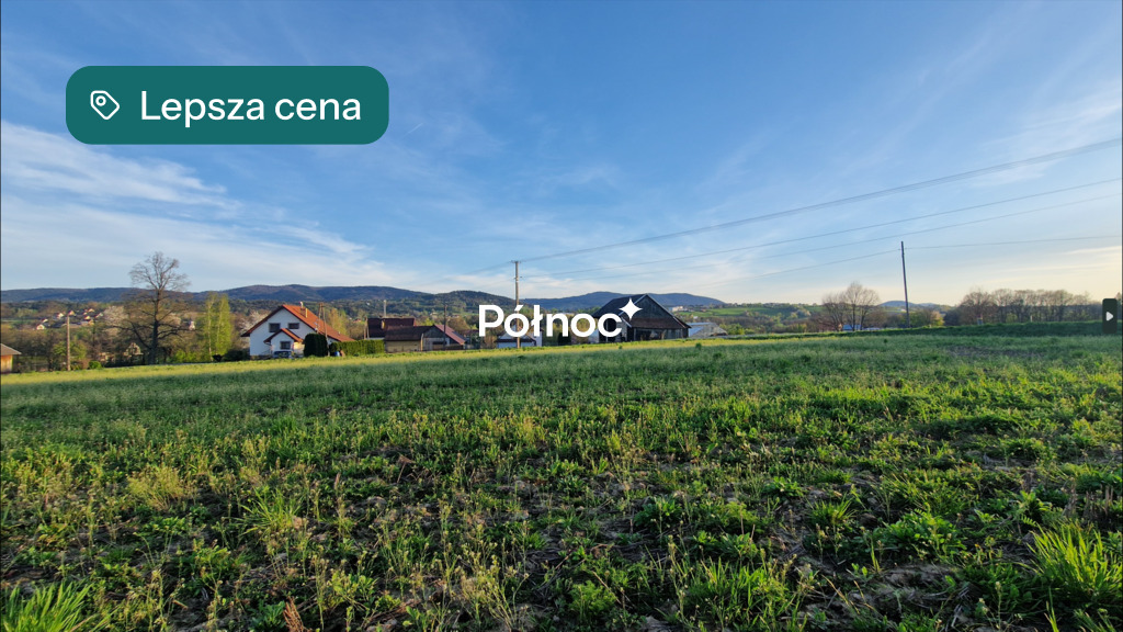 Zdjęcie 11