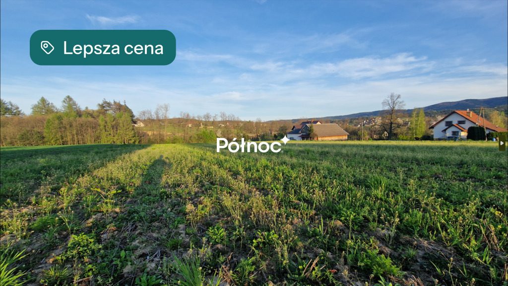 Zdjęcie 12