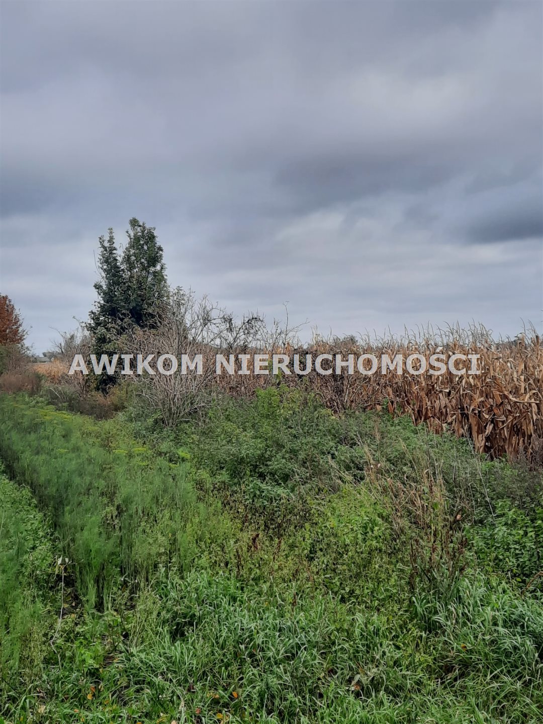 Działka budowlana i siedliskowa 3 001 m², Zazdrość