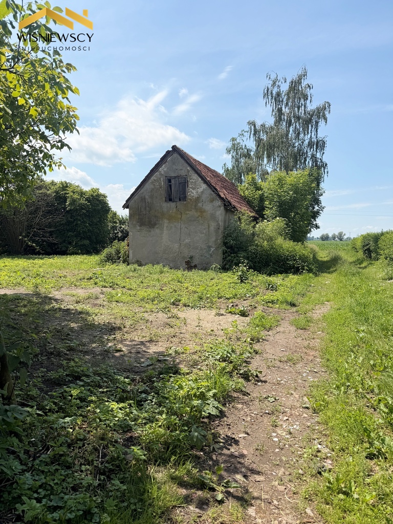 Zdjęcie 7