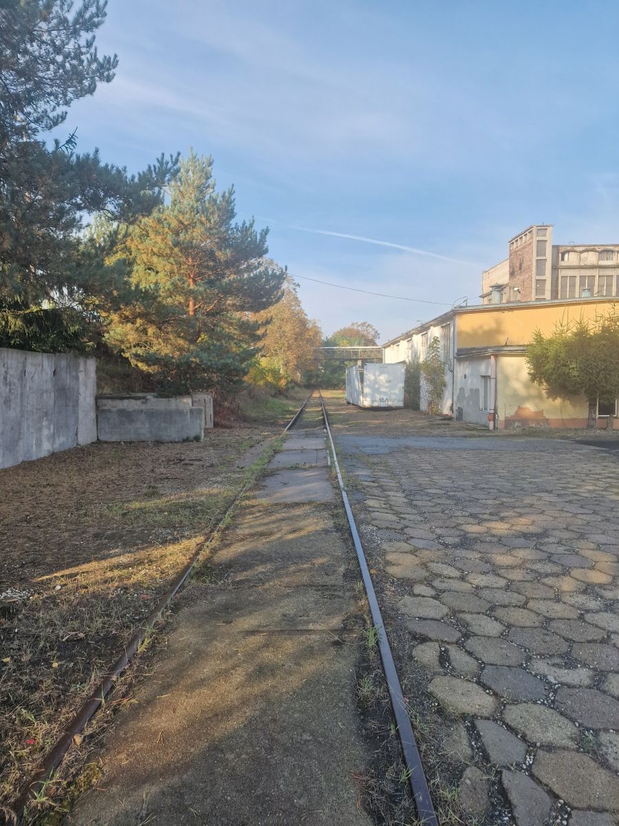 Zdjęcie 9