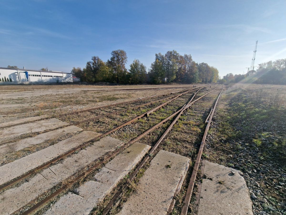 Zdjęcie 10