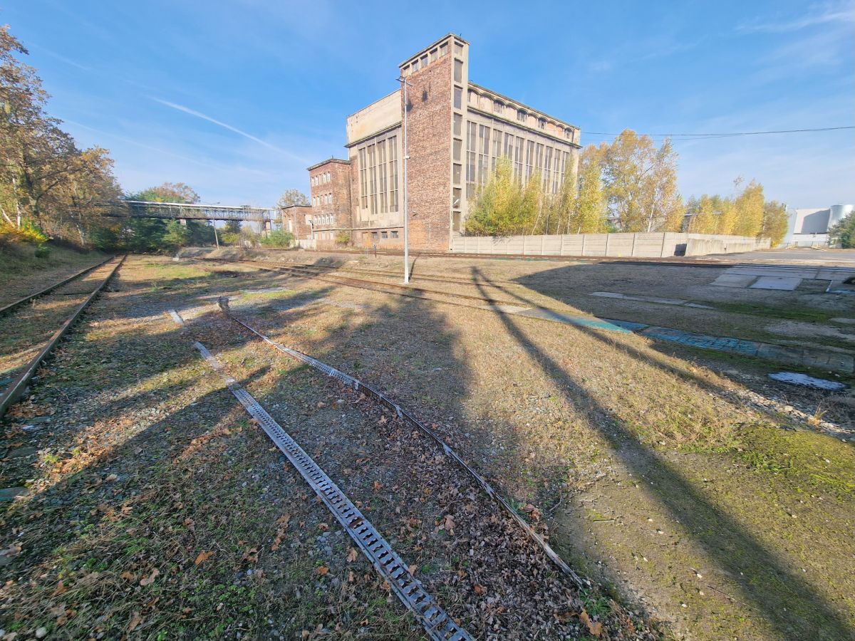 Zdjęcie 11